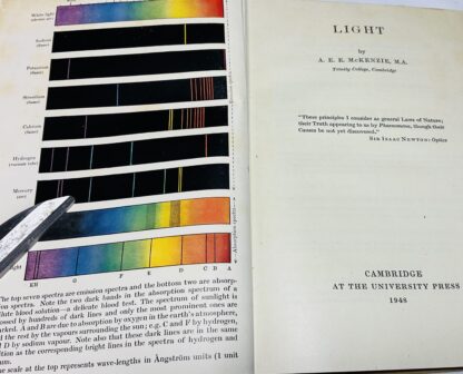Light - Image 2