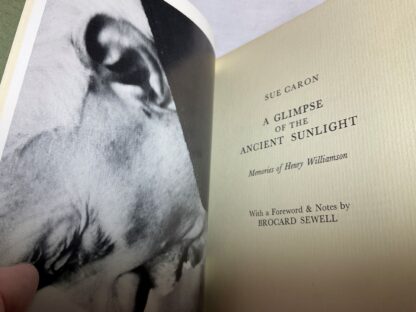 A Glimpse of the Ancient Sunlight - Image 2