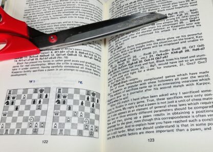 Garri Kasparov: His Career in Chess - Image 3