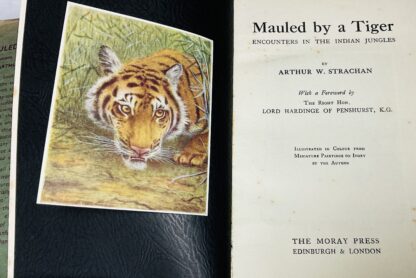 Mauled by a Tiger: Encounters in the Indian Jungles - Image 4