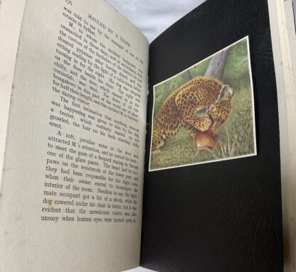 Mauled by a Tiger: Encounters in the Indian Jungles - Image 5