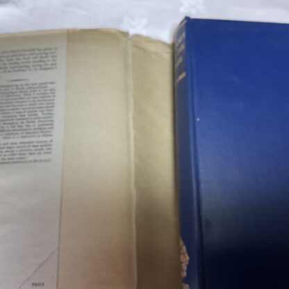 Witchcraft, Oracles and Magic among the Azande - Image 2