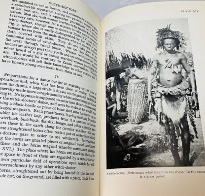 Witchcraft, Oracles and Magic among the Azande - Image 5