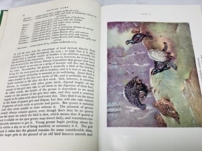 The New Naturalist Number 2: British Game - Image 4