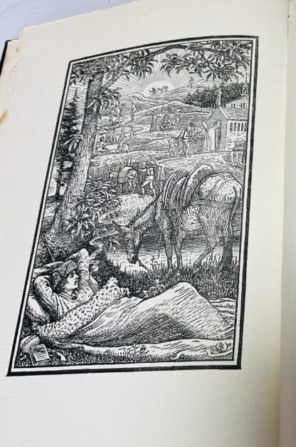 Travels With A Donkey In The Cevennes - Image 2