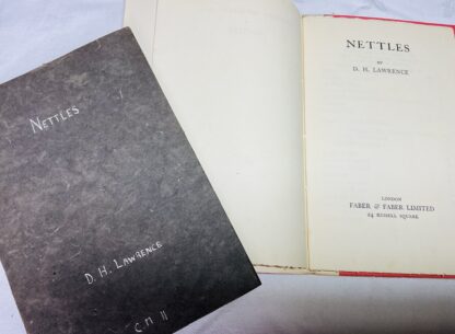 Nettles : Criterion Miscellany- No.11 - Image 2