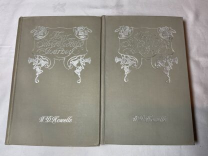 Their Silver Wedding Journey - Image 2