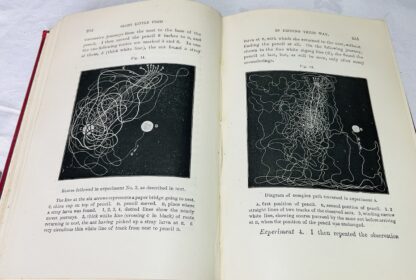 Ants, Bees And Wasps: A Record Of Observations On The Habits Of Social Hymenoptera - Image 2