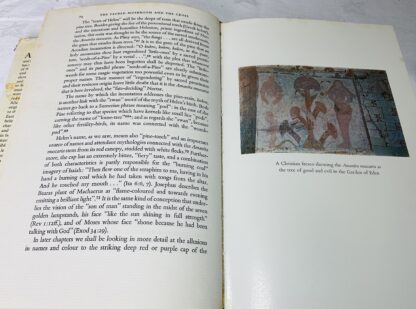 The Sacred Mushroom and the Cross: Fertility Cults and the Origins of Judaism and Christianity - Image 4