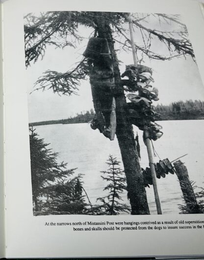 The Rupert That Was - Image 2