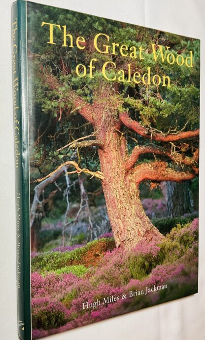 The Great Wood of Caledon