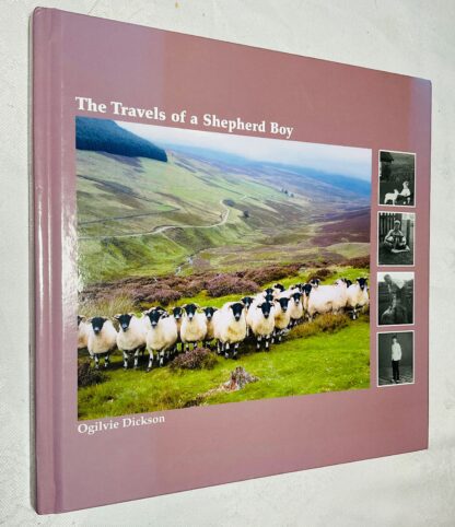 The Travels of a Shepherd Boy