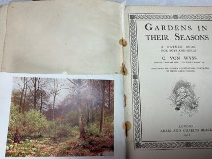 Gardens in Their Seasons: A Nature Book for Boys and Girls - Image 3