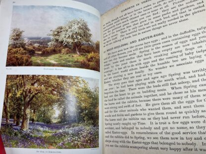 Gardens in Their Seasons: A Nature Book for Boys and Girls - Image 4