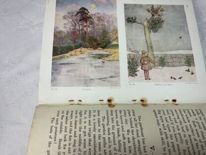 Gardens in Their Seasons: A Nature Book for Boys and Girls - Image 5