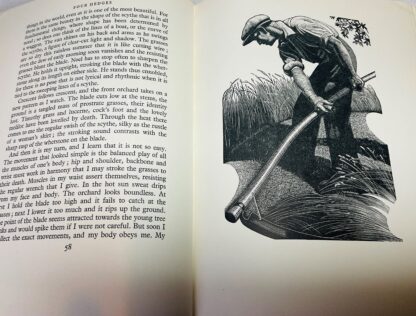 Four Hedges: A Gardener's Chronicle - Image 4