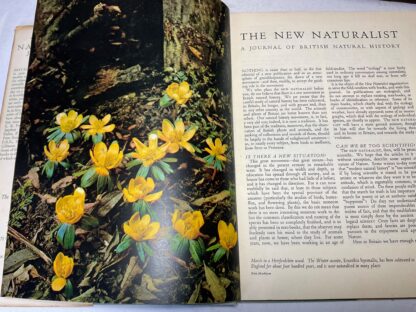 The New Naturalist: A Journal of British Natural History - Image 2