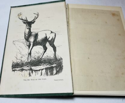 Glenmâhra: Or, the Western Highlands - Image 2
