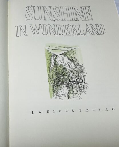 Sunshine in Wonderland [Remembrance from Iron and Steel Institute's Summer Meeting in Norway 1949] - Image 3