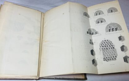 New Observations on the Natural History of Bees [New Edition] - Image 4
