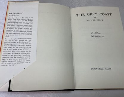 The Grey Coast - Image 2