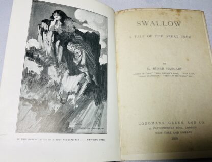Swallow - Image 2