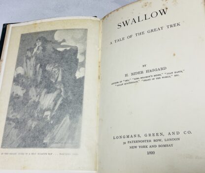 Swallow - Image 3