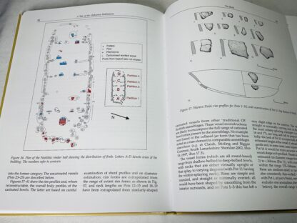 A Tale of the Unknown Unknowns: A Mesolithic Pit Alignment and a Neolithic Timber Hall at Warren Field, Crathes, Aberdeenshire - Image 2