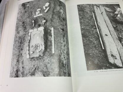 The Viking Age Buildings of Dublin: Medieval Dublin Excavations 1962-81, Part 1 and 2 [Two volume set] - Image 4