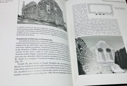 The Viking Age Buildings of Dublin: Medieval Dublin Excavations 1962-81, Part 1 and 2 [Two volume set] - Image 5
