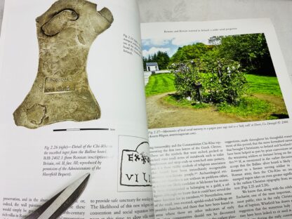 Late Iron Age and 'Roman' Ireland: Discovery Programme Reports 8 - Image 2