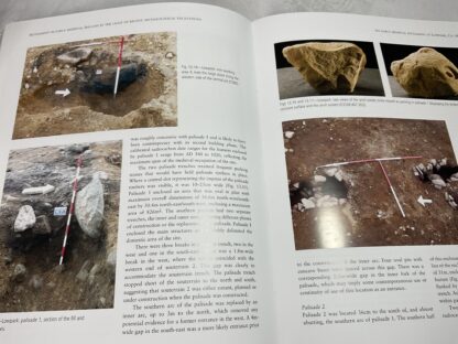 Settlement in Early Medieval Ireland - Image 2