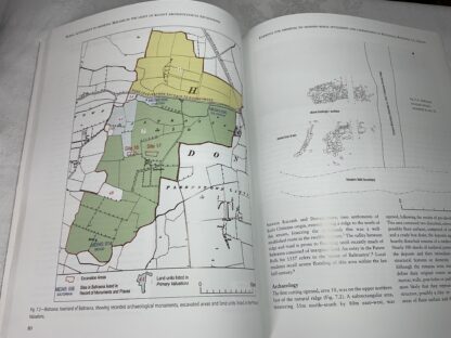 Rural Settlement in Medieval Ireland in the Light of Recent Archaeological Excavations - Image 2