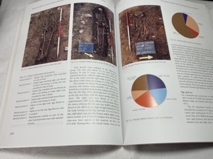 Death and Burial in Early Medieval Ireland in the Light of Recent Archaeological Excavations - Image 2