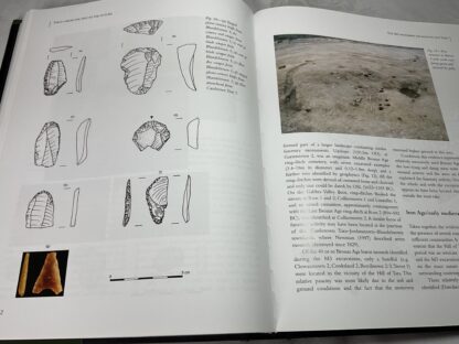 Tara: From the Past to the Future [Towards a New Research Agenda] - Image 2