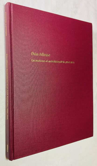 Dun Ailinne: Excavations at an Irish Royal Site, 1968-1975