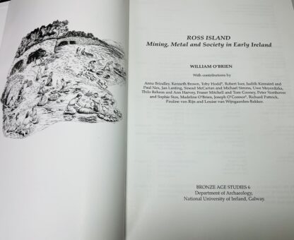 Ross Island: Mining, Metal and Society in Early Ireland [Bronze Age Studies 6] - Image 2