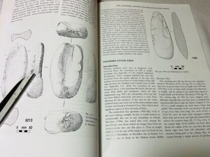 Excavations at Ferriter's Cove 1983-1995: Last Foragers, First Farmers in the Dingle Peninsula - Image 2