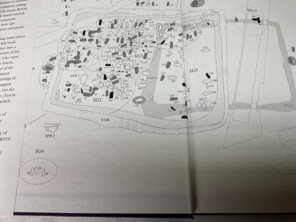 Wasperton: A Roman, British and Anglo-Saxon Community in Central England - Image 2