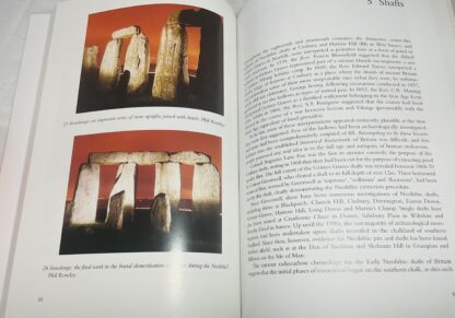 Monuments of the British Neolithic: the Roots of Architecture - Image 2