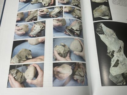 The Ebbsfleet Elephant: Excavations at Southfleet Road, Swanscombe in advance of High Speed 1, 2003-4 - Image 2