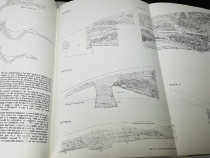 Danebury: An Iron Age Hillfort in Hampshire, Volume 4 - The Excavations 1979-1988: The Site - Image 3