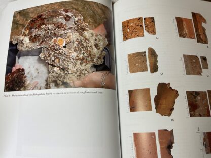 The Later Anglo-Saxon Settlement at Bishopstone: A Downland Manor in the Making - Image 3