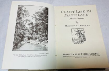Plant Life in Maoriland: A Botanist's Note Book - Image 2