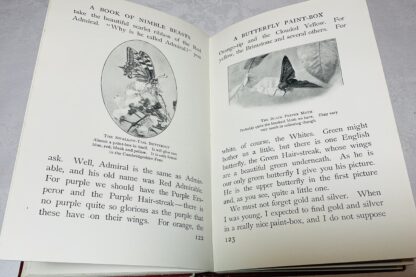 A Book Of Nimble Beasts: Bunny Rabbit, Squirrel, Toad, and "Those Sort of People" - Image 3