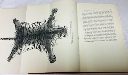 The Sportsman"s Handbook To Collecting, Preserving, and Setting-up Trophies and Specimens Together with A Guide to the Hunting Grounds of the World: Tenth, and Enlarged, Edition with Numerous Illustrations - Image 4