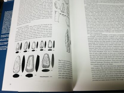 The Archaeology of Lake Settlement in Ireland - Image 3