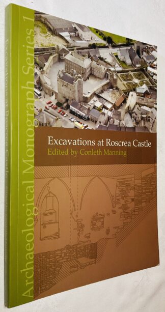 Excavations at Roscrea Castle