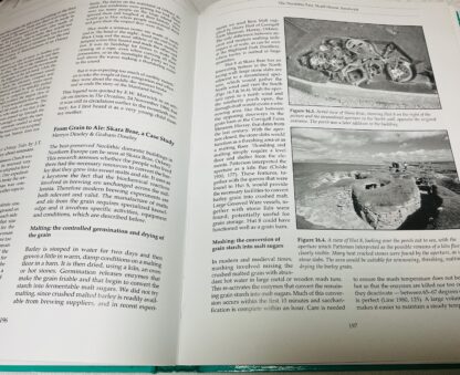 Neolithic Orkney in Its European Context - Image 2