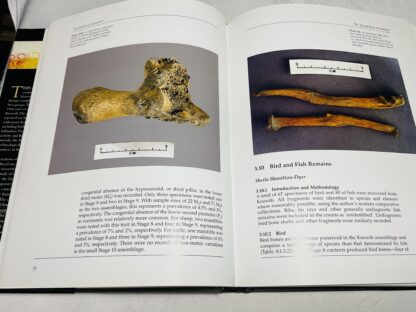 Excavations at Knowth Volume 3: Knowth and the Zooarchaeology of Early Christian Ireland - Image 2
